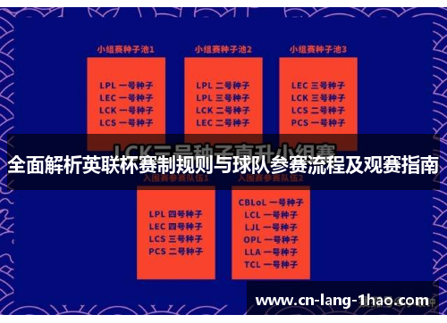 全面解析英联杯赛制规则与球队参赛流程及观赛指南