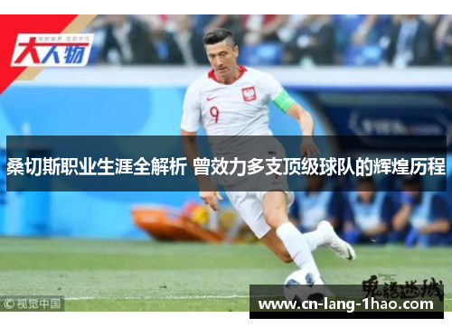 桑切斯职业生涯全解析 曾效力多支顶级球队的辉煌历程