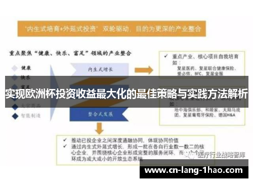 实现欧洲杯投资收益最大化的最佳策略与实践方法解析